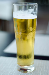cold glass of beer