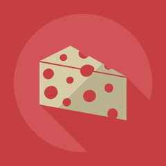 Flat modern design with shadow icons cheese