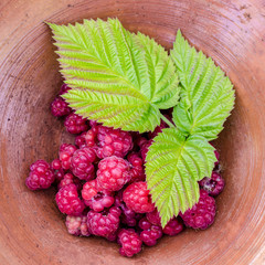 juicy raspberries lying in a bowl with three green leaves