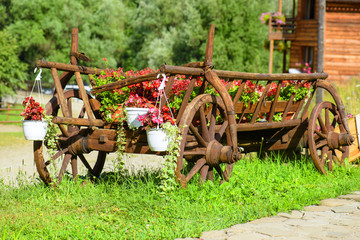 cart of flower pots