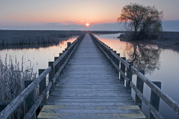 Sunset at the marsh boardwalk at Point Pelee, Canada