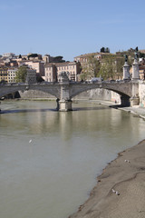 Rome,Italy,River,Tiber,Tevere,gulls.