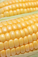 トウモロコシ