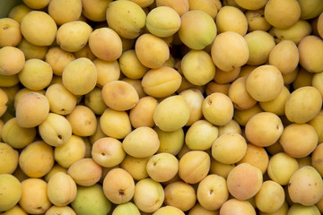 apricots