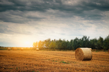 Bales on a field © Creaturart