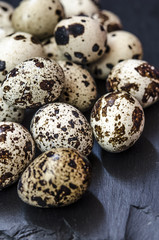 quail egg on a black stone plaque  