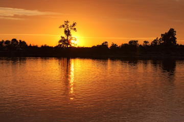 Fototapeta na wymiar Summer evening. Sunset on the river. The sun hides behind the tr