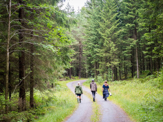 three people walking down road in forest