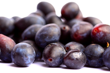 Damsons.
Damsons isolated on white background.