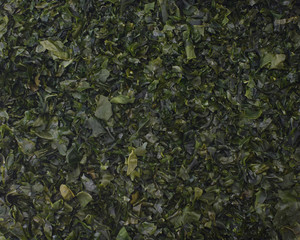  Food blur background, dark green leaves of seaweed wakame closeup (lat. Undaria pinnatifida)