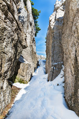 landscape with mountains