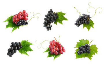 Collection of Black grapes and Red grapes isolated on white background (Fruit)