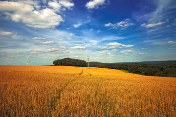 Getreidefelder mit Streifen und Himmel HDR look