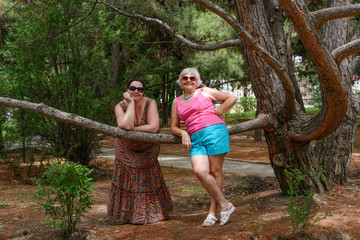 Women are posing in shadow under Crimea pine tree.