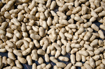 nuts