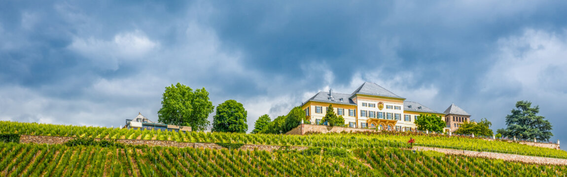 Schloss Johannisberg, Rheingau 
