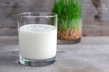 Fresh homemade yogurt in a glass