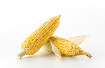 ears of corn