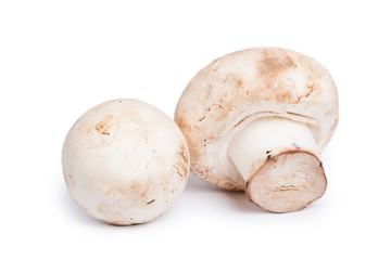 Champignon mushrooms
