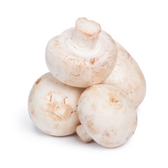 Champignon mushrooms