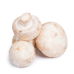 Champignon mushrooms