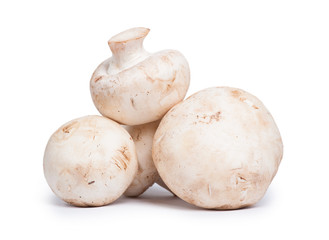 Champignon mushrooms