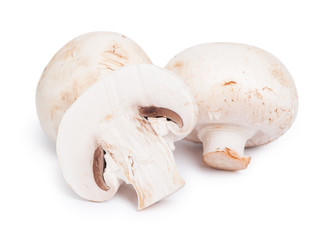 Champignon mushrooms