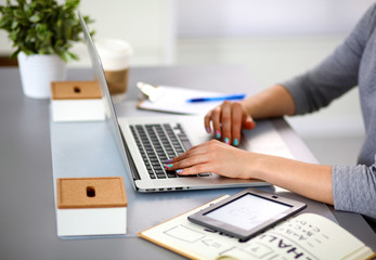 Young businesswoman working on a laptop