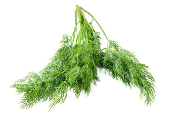 bundle dill