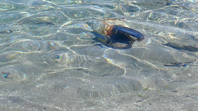 Alte Dose im klarem Wasser