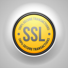 SSL 100% Secure Transactions