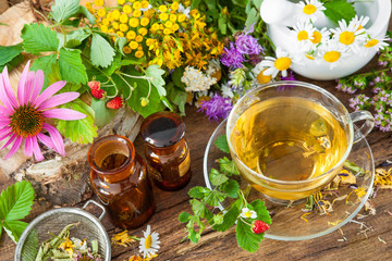 Cup of herbal tea with wild flowers and various herbs