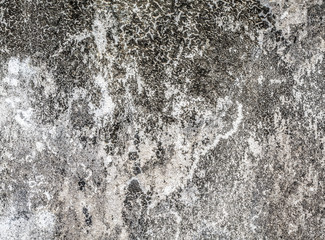 white concrete wall texture