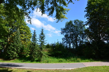 Nebenstraße in der Natur