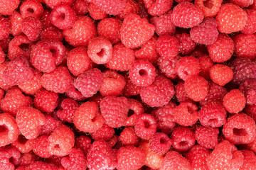 Background of red raspberries