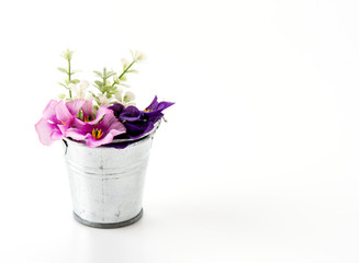 steel bucket with flower on white