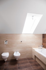 Hugh bathroom with the skylight