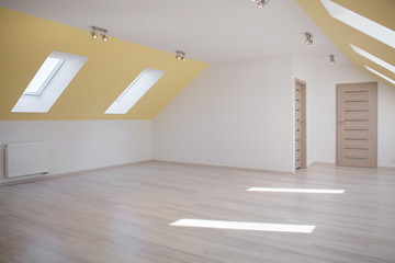 Spacious loft in modern house