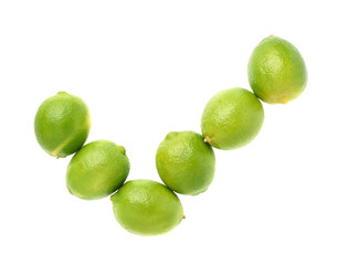 Yes tick mark made of multiple limes isolated over the white