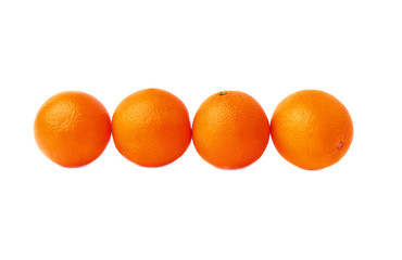 Four oranges fruits composition isolated over the white