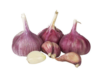 Garlic isolated on white background