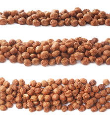 Line of hazelnuts isolated