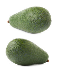 Single ripe avocado fruit isolated