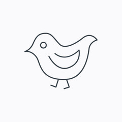 Bird icon. Chick with beak sign.