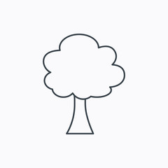 Tree icon. Forest wood sign.