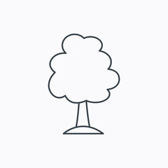 Tree icon. Forest wood sign.