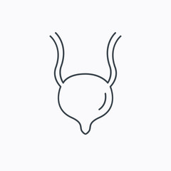 Urinary bladder icon. Human body organ sign.