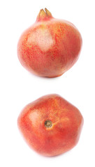 Pomegranate punica granatum fruit