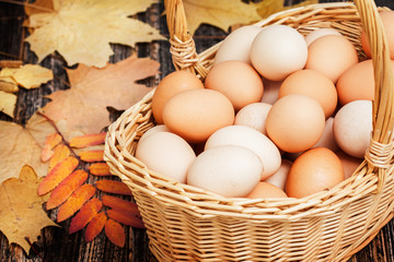 Eggs in a basket