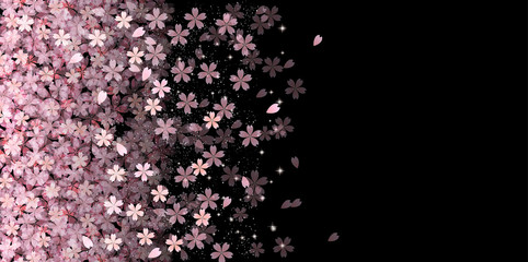 Fototapeta premium 桜 花 背景